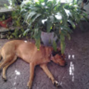 Meet your Posher, Towanda